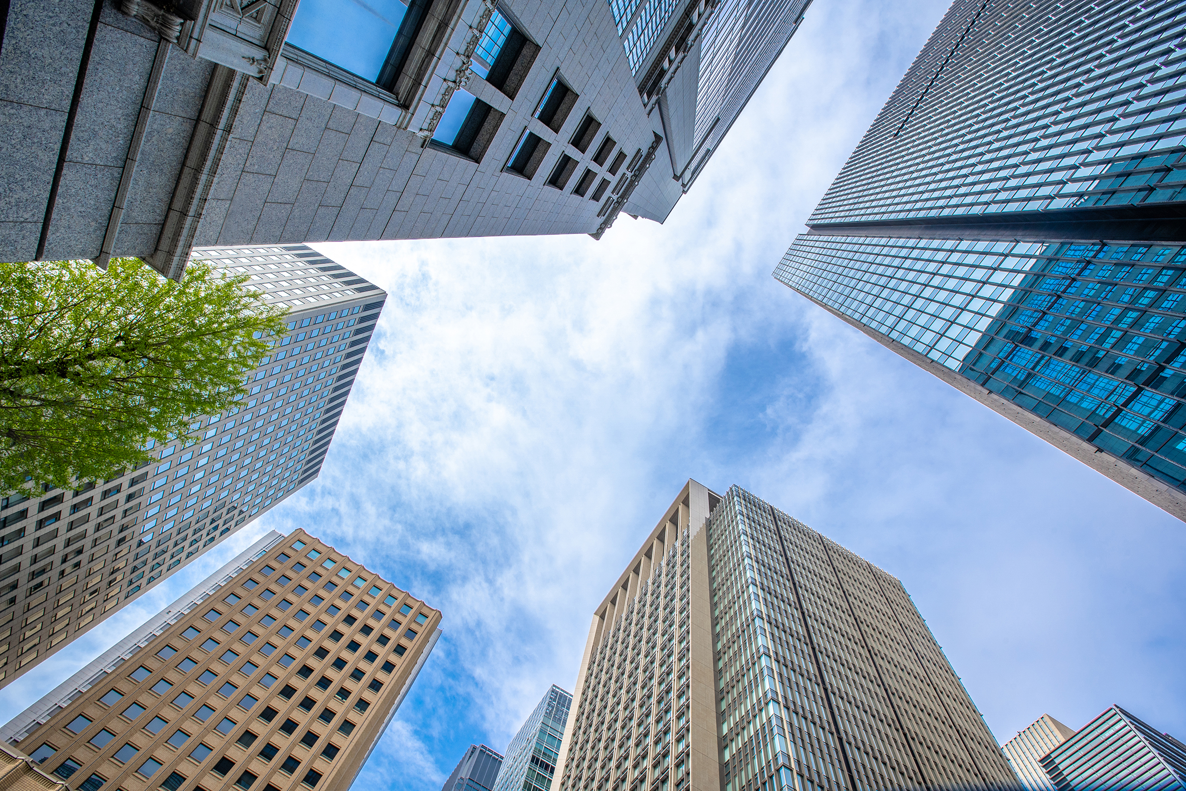 確かな歴史と信頼